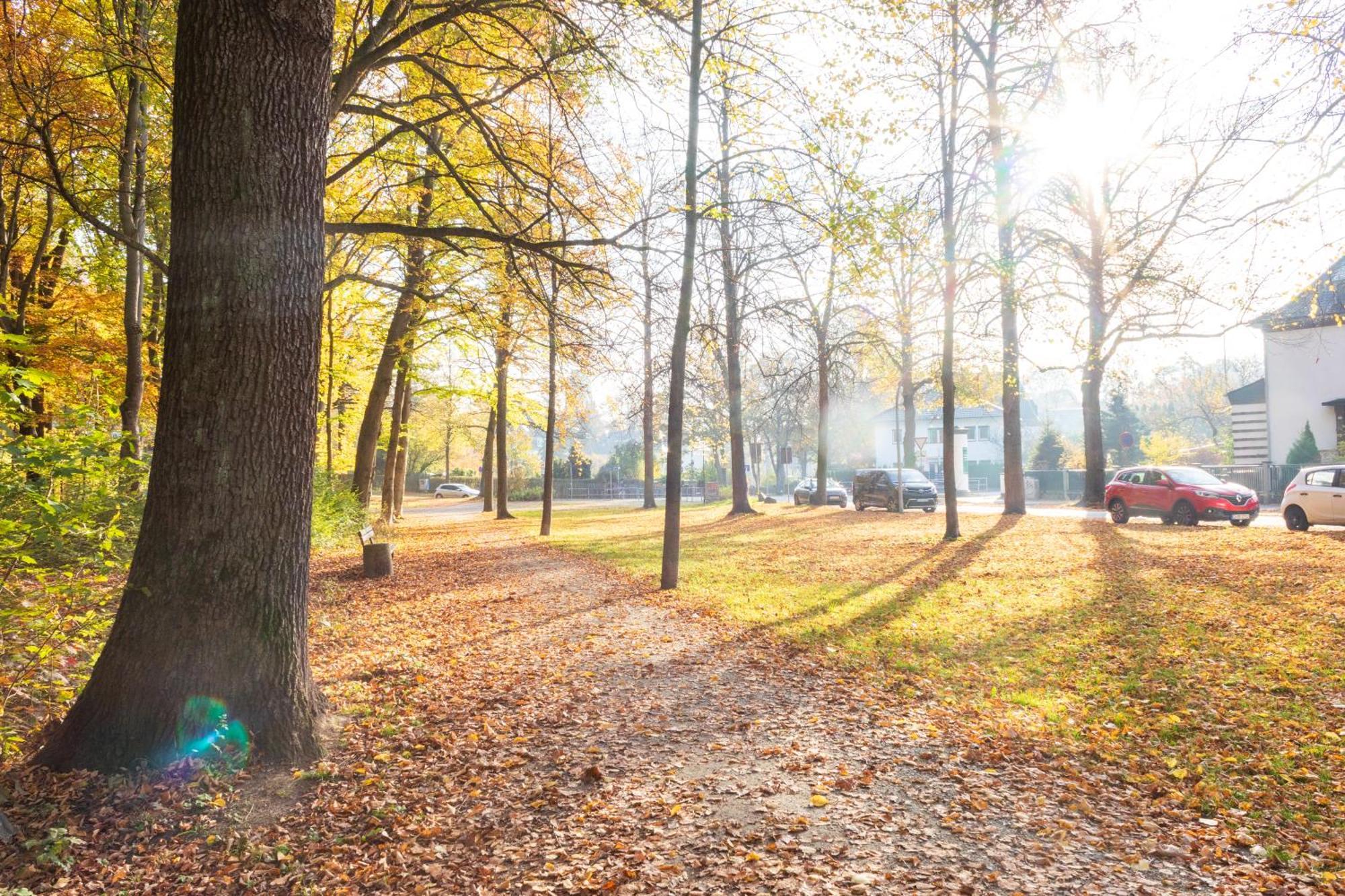 Stadtnatur Apartment Am Kuechwald - Mit Balkon, Streaming-Tv, Badewanne, Arbeitsplatz Chemnitz Esterno foto